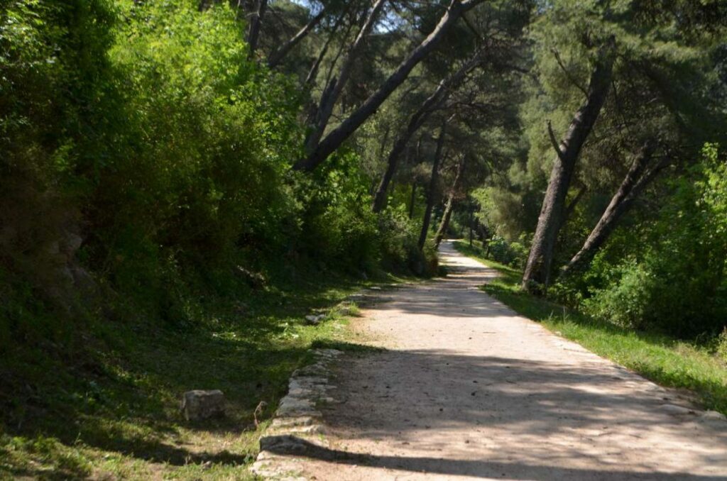 protected forest mala i velika petka